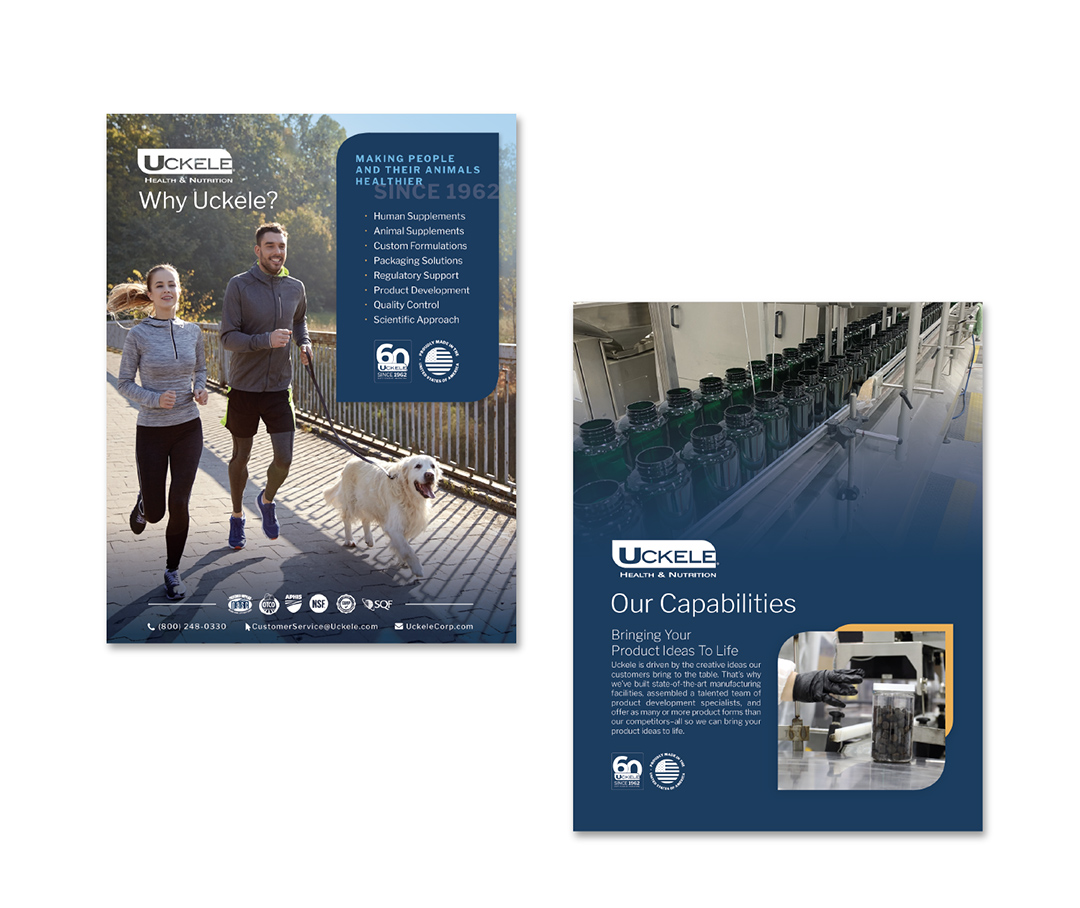 Flyers for pet and human manufacturing